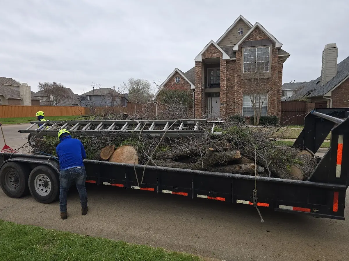 Expert Tree Fertilization with proper safety equipment in Red Jacket